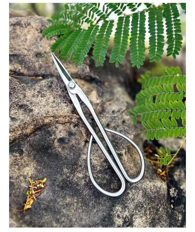 Branch Pruning Scissors Thickened Stainless Steel Potted Plant Bud Pruning Gardening Pruning Leaf Bonsai Long-Handled Scissors — feature 10