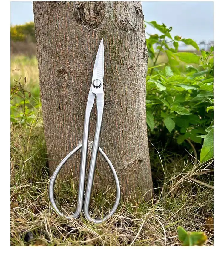 Branch Pruning Scissors Thickened Stainless Steel Potted Plant Bud Pruning Gardening Pruning Leaf Bonsai Long-Handled Scissors — feature 13