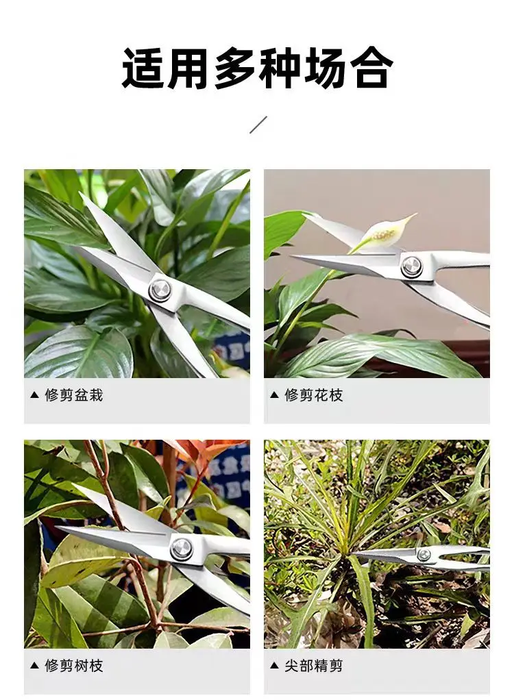 Branch Pruning Scissors Thickened Stainless Steel Potted Plant Bud Pruning Gardening Pruning Leaf Bonsai Long-Handled Scissors — feature 2