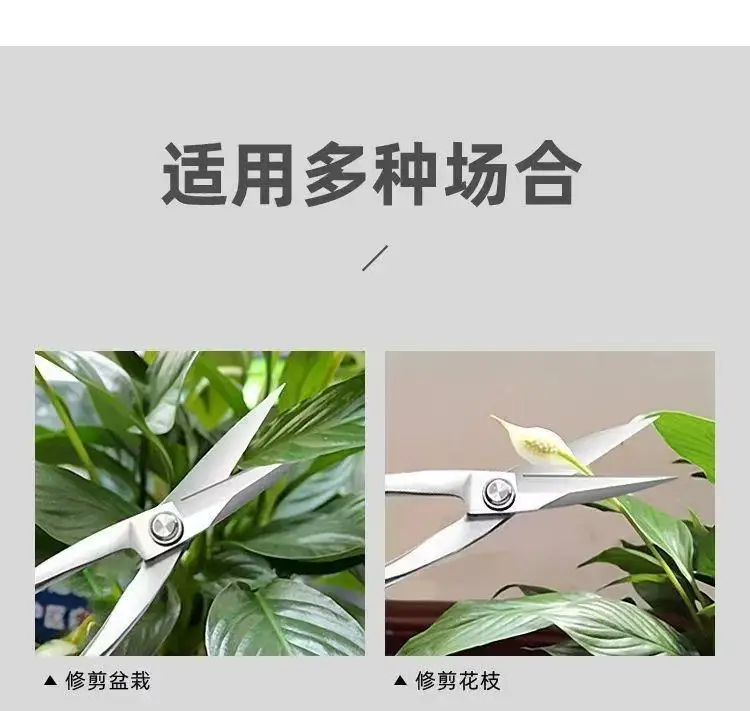 Branch Pruning Scissors Thickened Stainless Steel Potted Plant Bud Pruning Gardening Pruning Leaf Bonsai Long-Handled Scissors — feature 4