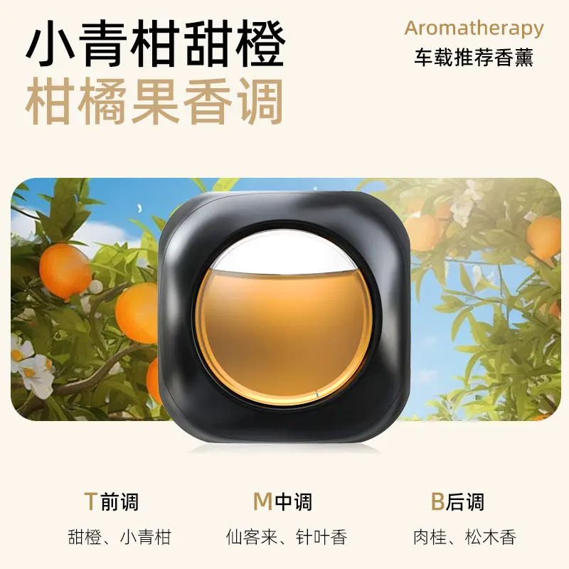 2024 New Car Aromatherapy Car Air Outlet Clip Aromatherapy Deodorizing Car Interior Deodorizing Fragrance Perfume Car