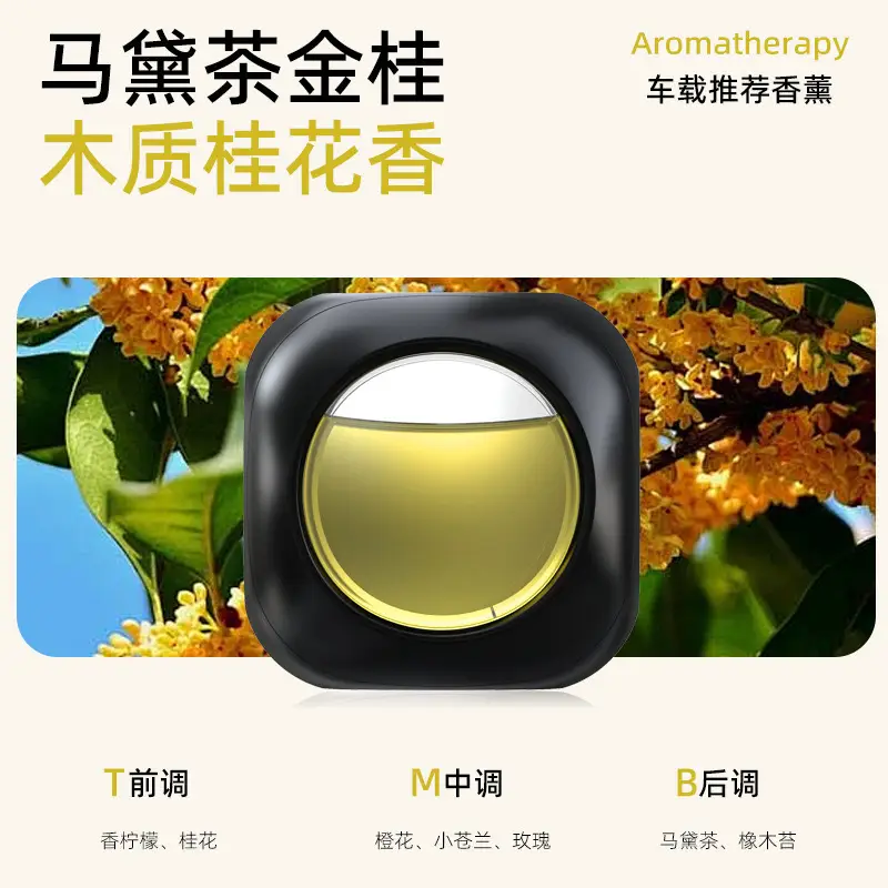 2024 New Car Aromatherapy Car Air Outlet Clip Aromatherapy Deodorizing Car Interior Deodorizing Fragrance Perfume Car