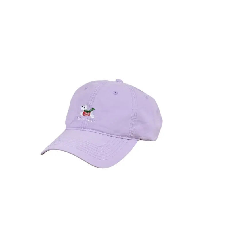 Light Blue Cartoon Cap for Women Spring Summer - Image 11