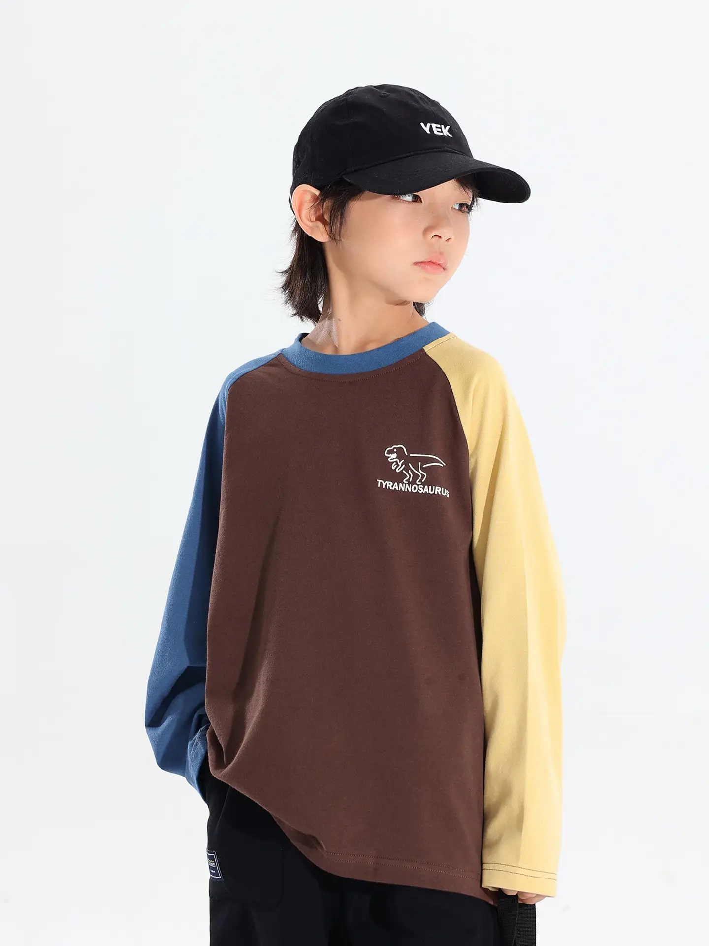 Boys Raglan Long Sleeve T-Shirt Dinosaur Print 2025 - Image 6