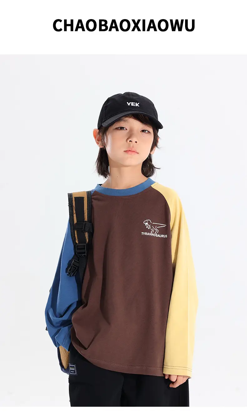 Boys Raglan Long Sleeve T-Shirt Dinosaur Print 2025 — feature 1