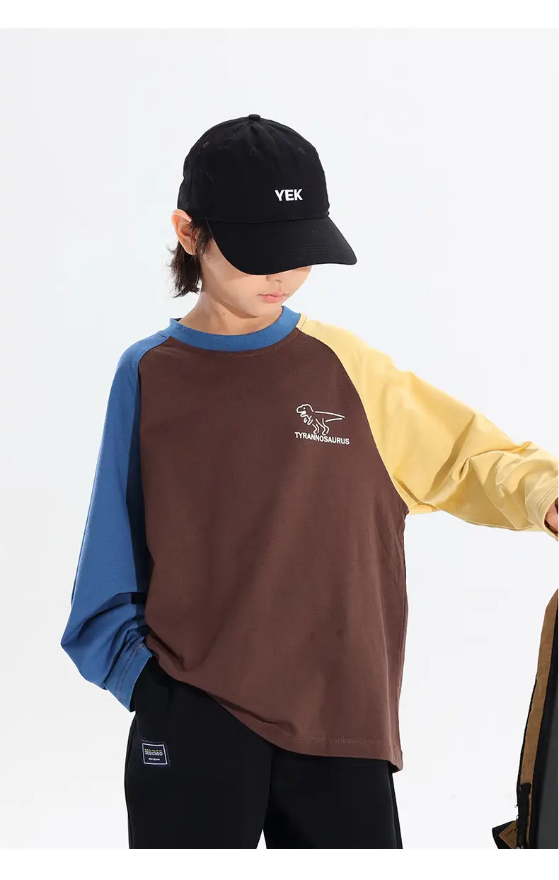 Boys Raglan Long Sleeve T-Shirt Dinosaur Print 2025 — feature 11