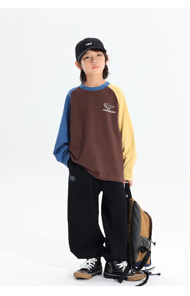 Boys Raglan Long Sleeve T-Shirt Dinosaur Print 2025 — feature 12