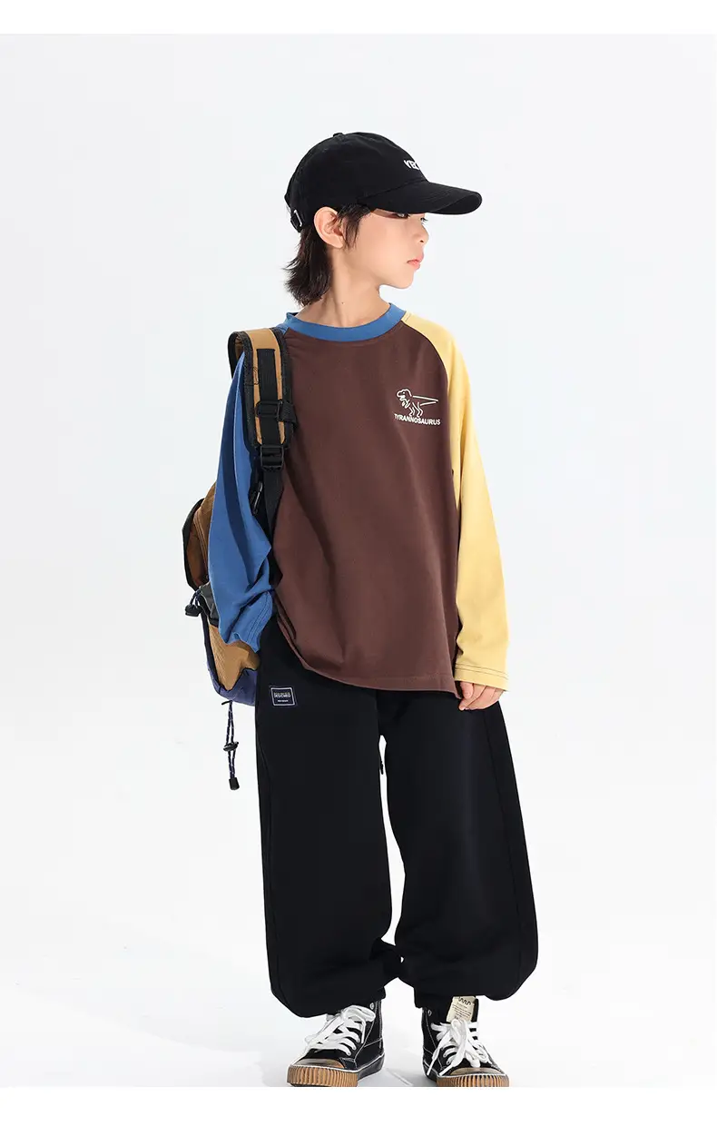 Boys Raglan Long Sleeve T-Shirt Dinosaur Print 2025 — feature 13