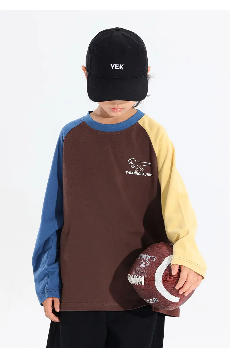 Boys Raglan Long Sleeve T-Shirt Dinosaur Print 2025 — feature 15