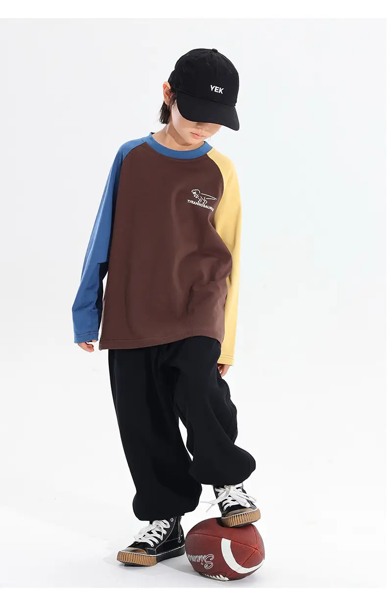 Boys Raglan Long Sleeve T-Shirt Dinosaur Print 2025 — feature 16