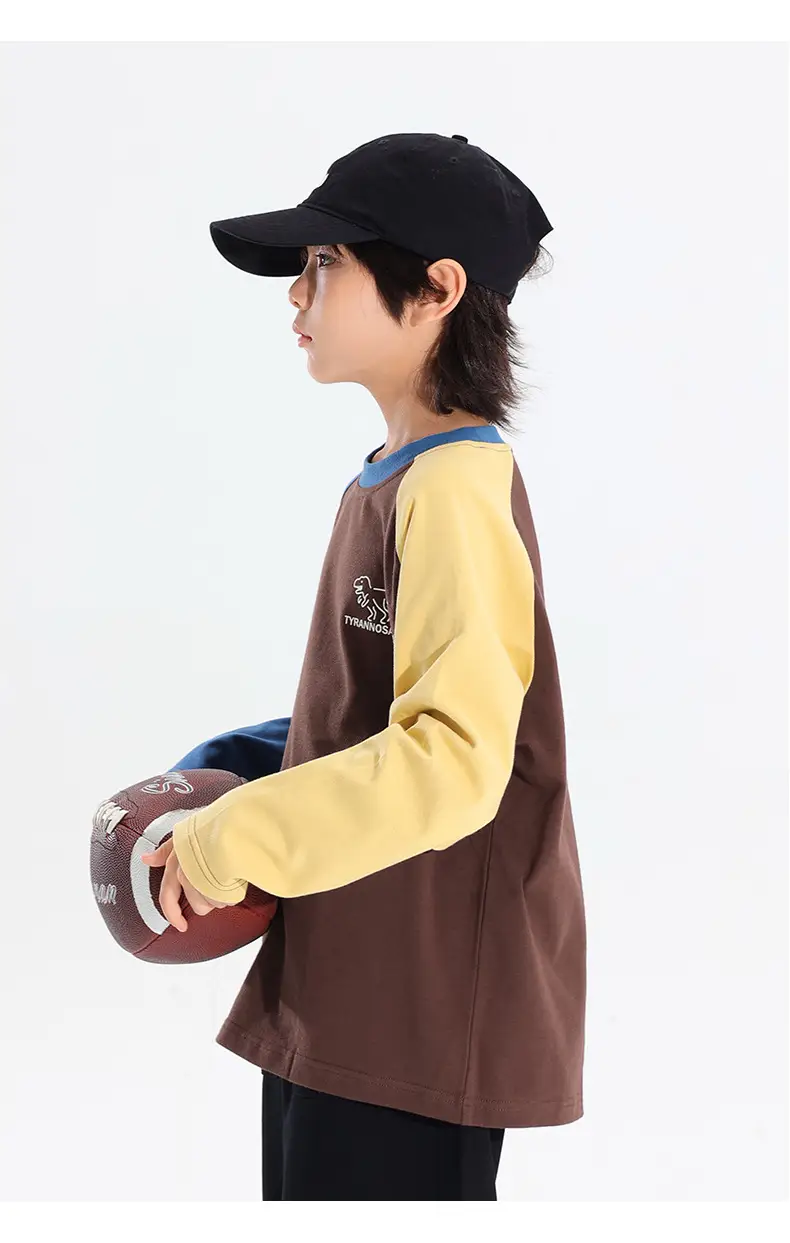 Boys Raglan Long Sleeve T-Shirt Dinosaur Print 2025 — feature 18