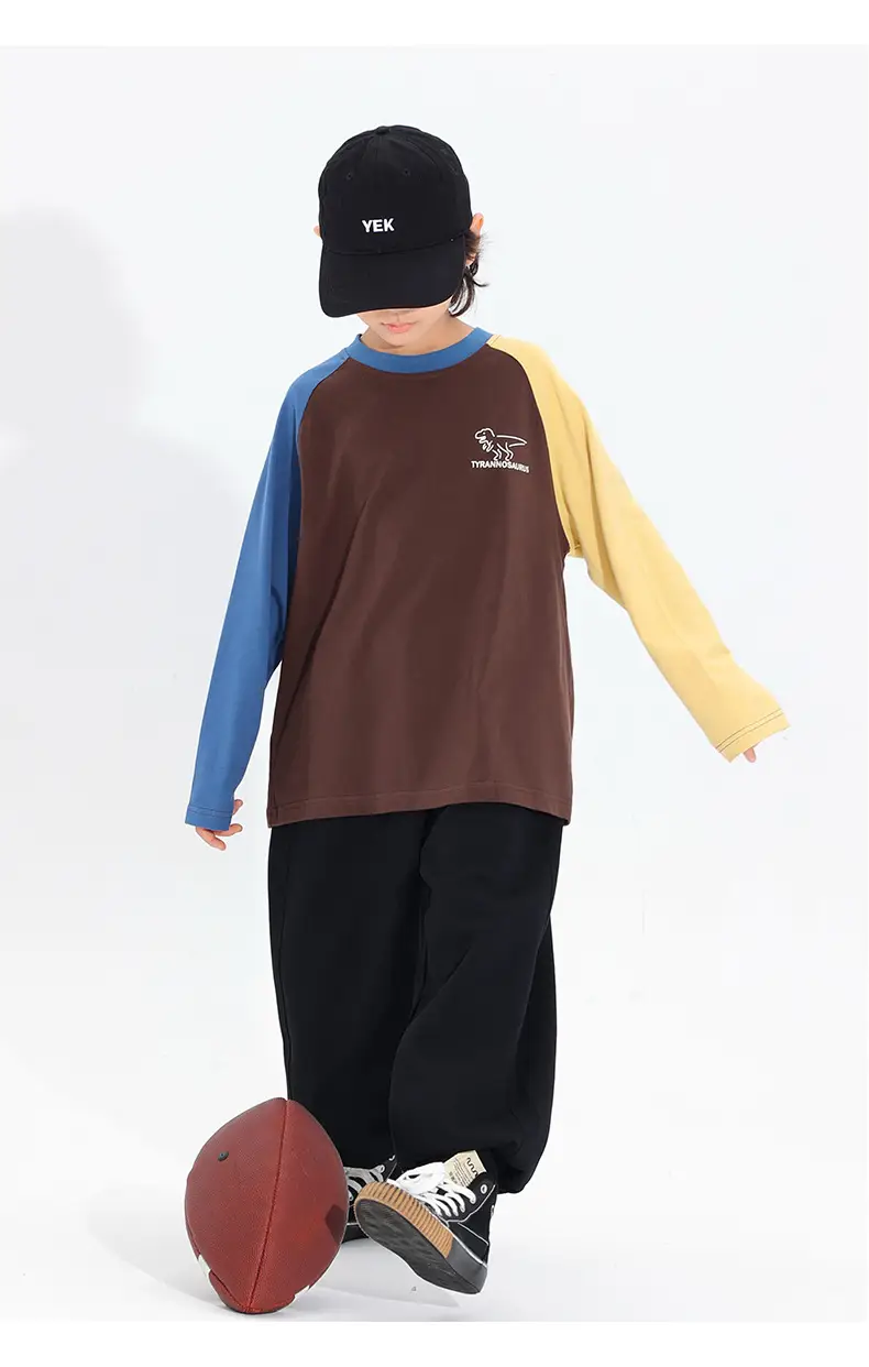 Boys Raglan Long Sleeve T-Shirt Dinosaur Print 2025 — feature 19