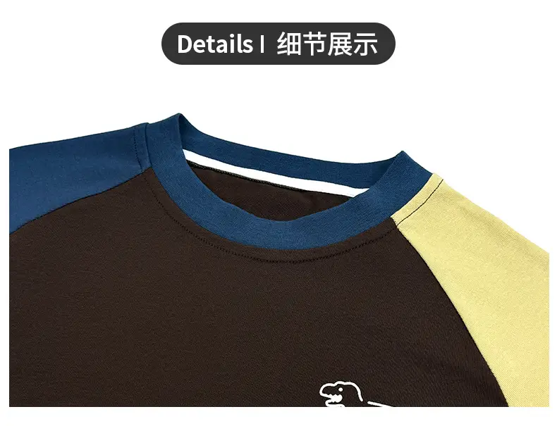 Boys Raglan Long Sleeve T-Shirt Dinosaur Print 2025 — feature 4