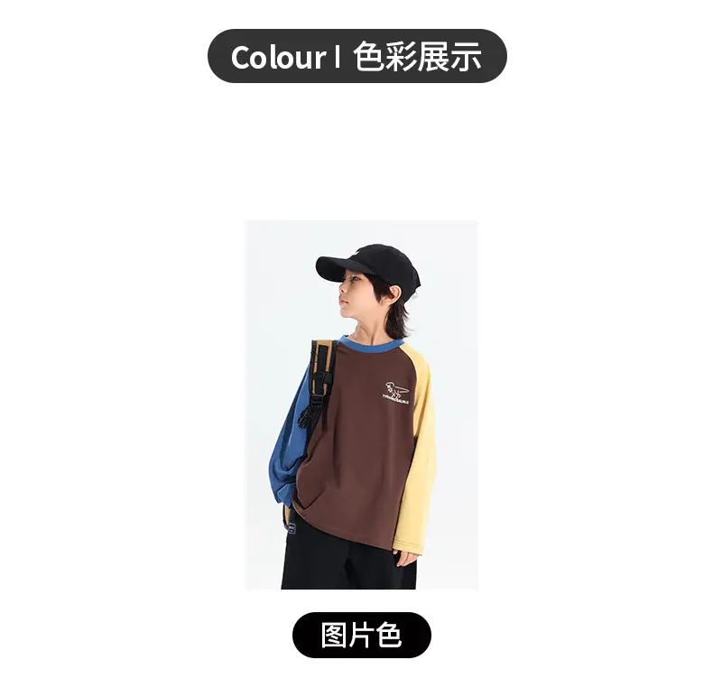 Boys Raglan Long Sleeve T-Shirt Dinosaur Print 2025 — feature 8