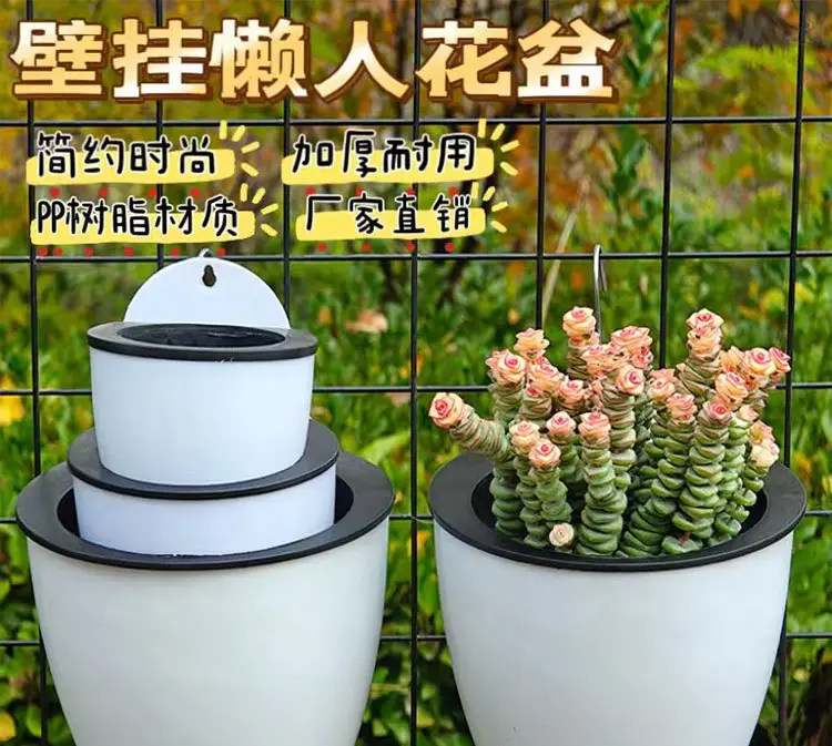 Wall-Mounted Flower Pot, Lazy Pot, No Watering Required, Wall-Mounted, Nail-Free Succulent Flower Pot, Pothos Hanging Basket Pot, Wall-Mounted Plastic Flower Pot — feature 1