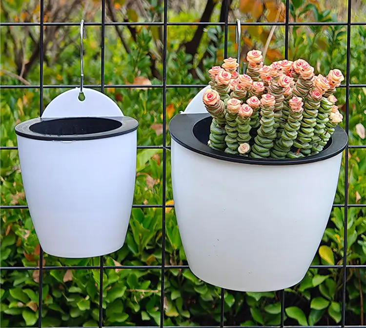 Wall-Mounted Flower Pot, Lazy Pot, No Watering Required, Wall-Mounted, Nail-Free Succulent Flower Pot, Pothos Hanging Basket Pot, Wall-Mounted Plastic Flower Pot — feature 10