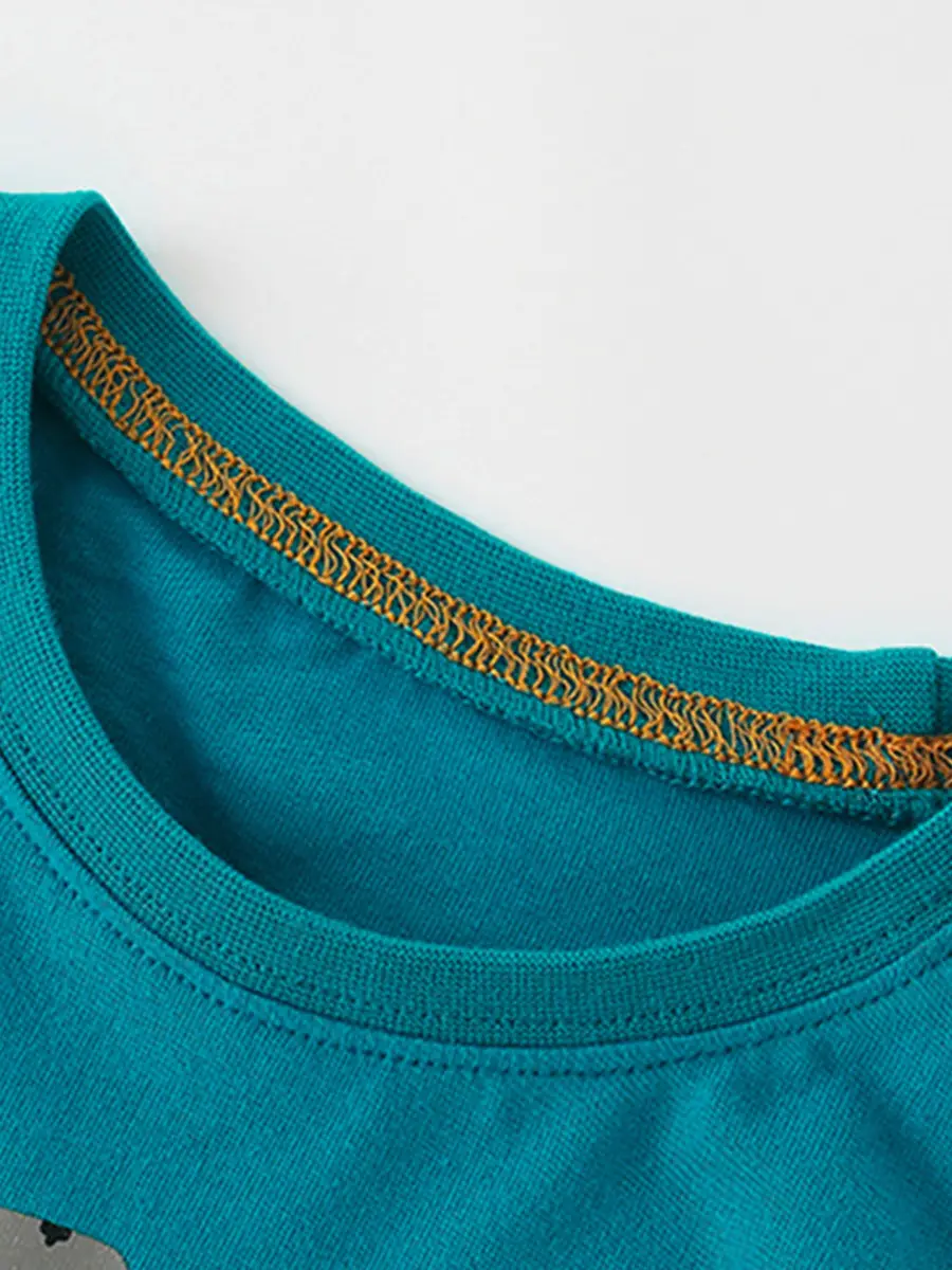 2025 Kids Dinosaur Sweatshirt Teal Long Sleeve - Image 4