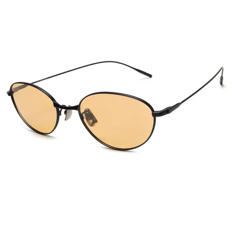 30883-1 High-End Titanium Sunglasses for Men