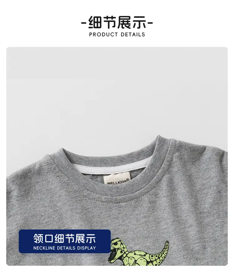Children Grey Dinosaur Long Sleeve T-Shirt — feature 15