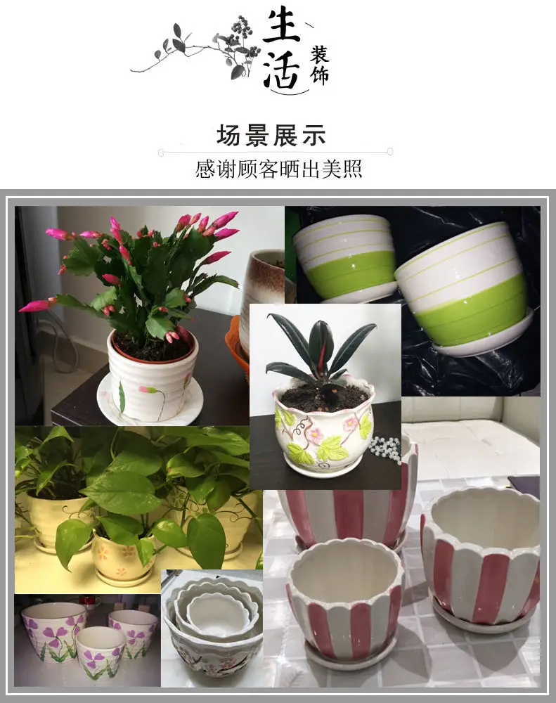 One Piece Wholesale Cartoon Animal Ceramic Flower Pot Creative Versatile Cute Ceramic Succulent Simple Flower Pot Temu — feature 9