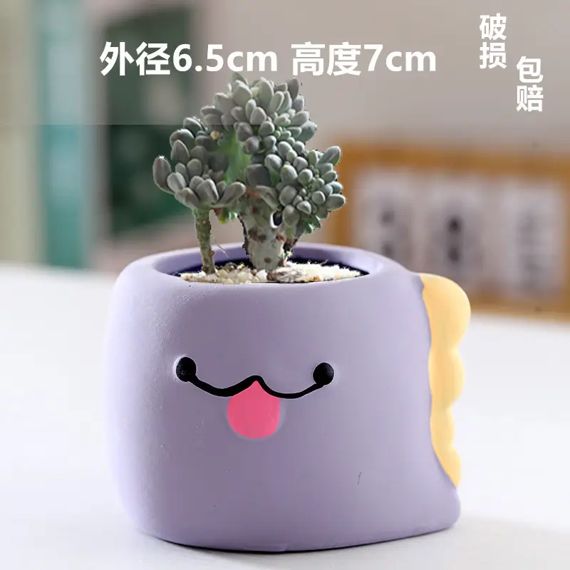 One Piece Wholesale Cartoon Animal Ceramic Flower Pot Creative Versatile Cute Ceramic Succulent Simple Flower Pot Temu