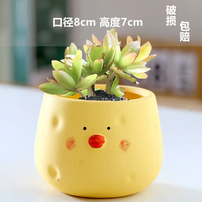 One Piece Wholesale Cartoon Animal Ceramic Flower Pot Creative Versatile Cute Ceramic Succulent Simple Flower Pot Temu
