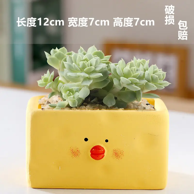 One Piece Wholesale Cartoon Animal Ceramic Flower Pot Creative Versatile Cute Ceramic Succulent Simple Flower Pot Temu