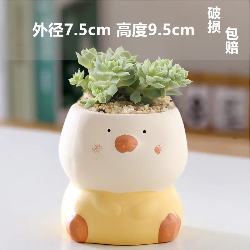 One Piece Wholesale Cartoon Animal Ceramic Flower Pot Creative Versatile Cute Ceramic Succulent Simple Flower Pot Temu