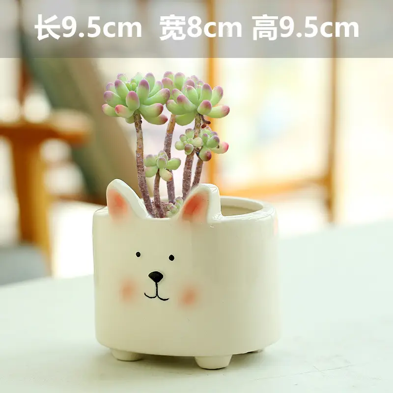 One Piece Wholesale Cartoon Animal Ceramic Flower Pot Creative Versatile Cute Ceramic Succulent Simple Flower Pot Temu