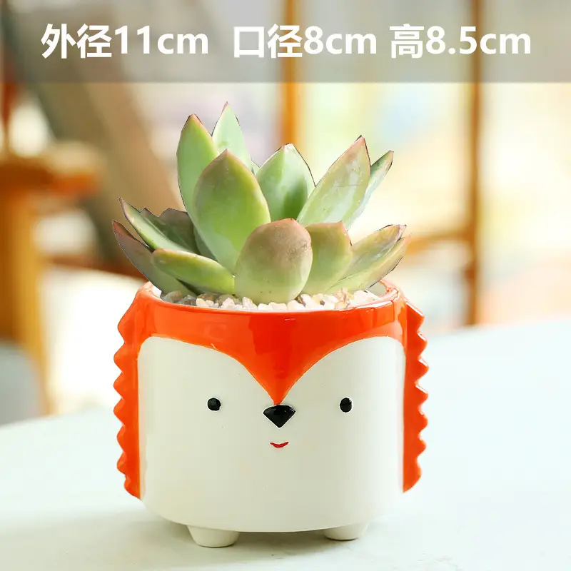 One Piece Wholesale Cartoon Animal Ceramic Flower Pot Creative Versatile Cute Ceramic Succulent Simple Flower Pot Temu