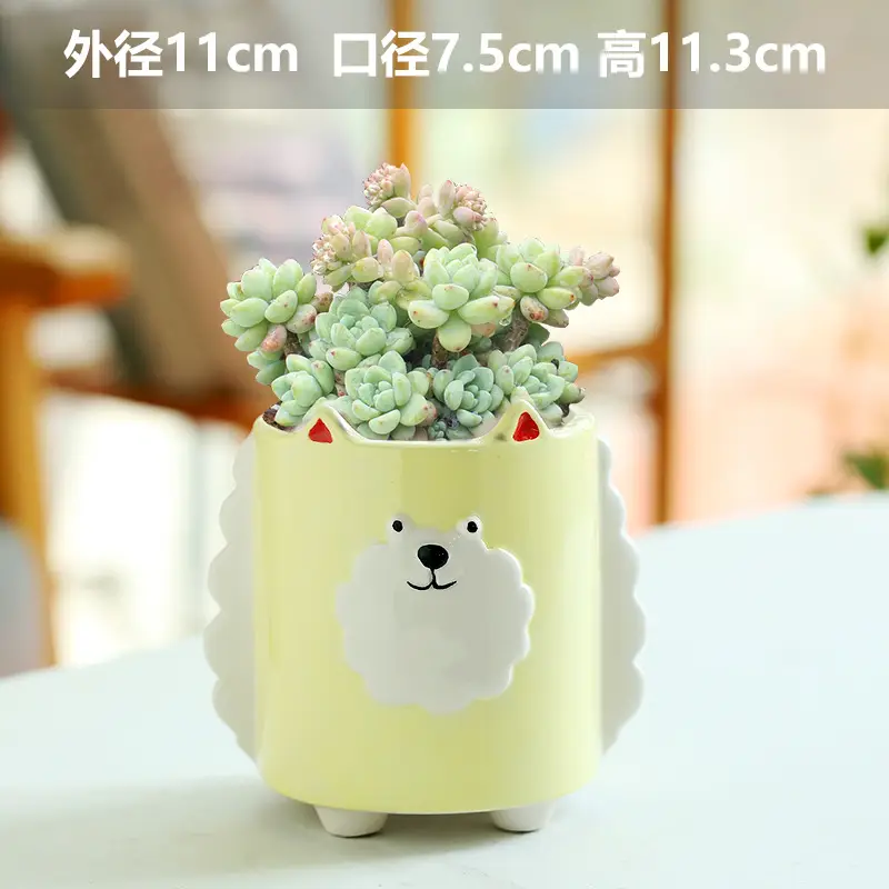One Piece Wholesale Cartoon Animal Ceramic Flower Pot Creative Versatile Cute Ceramic Succulent Simple Flower Pot Temu