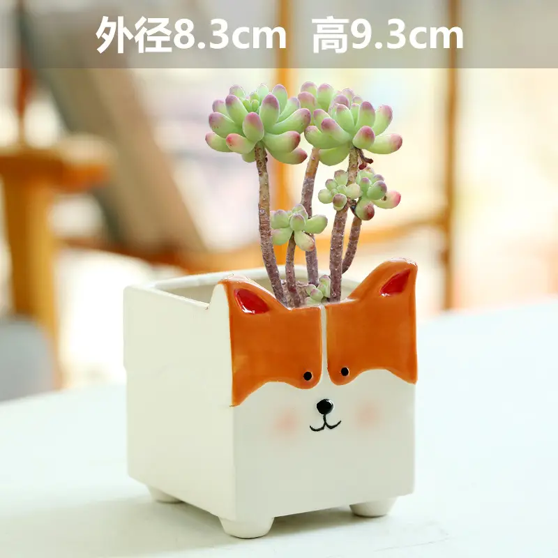 One Piece Wholesale Cartoon Animal Ceramic Flower Pot Creative Versatile Cute Ceramic Succulent Simple Flower Pot Temu