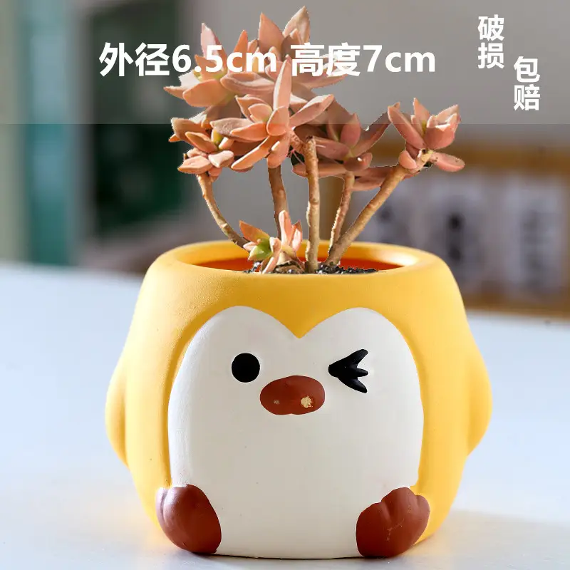 One Piece Wholesale Cartoon Animal Ceramic Flower Pot Creative Versatile Cute Ceramic Succulent Simple Flower Pot Temu