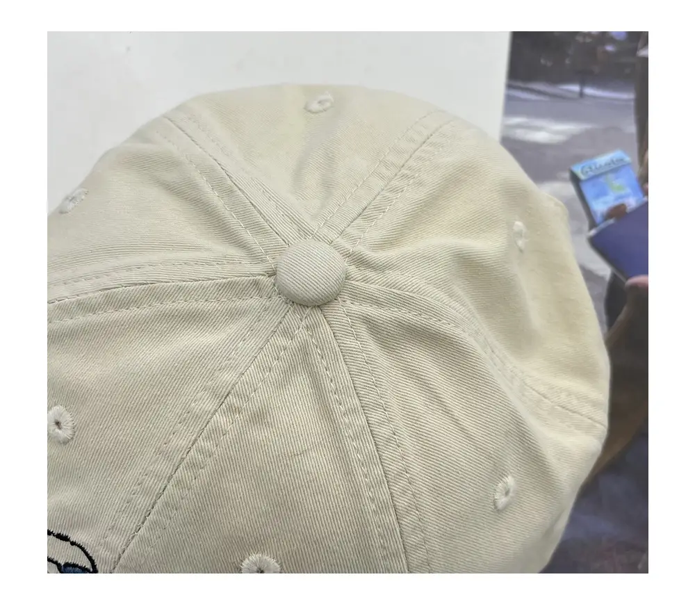 Japanese Style Puppy Duckbill Cap for Women Grey — feature 7
