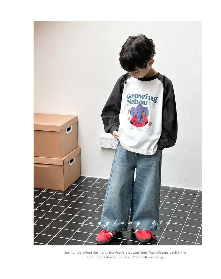 Boys Long Sleeve Cotton T-Shirt Spring 2026 — feature 11