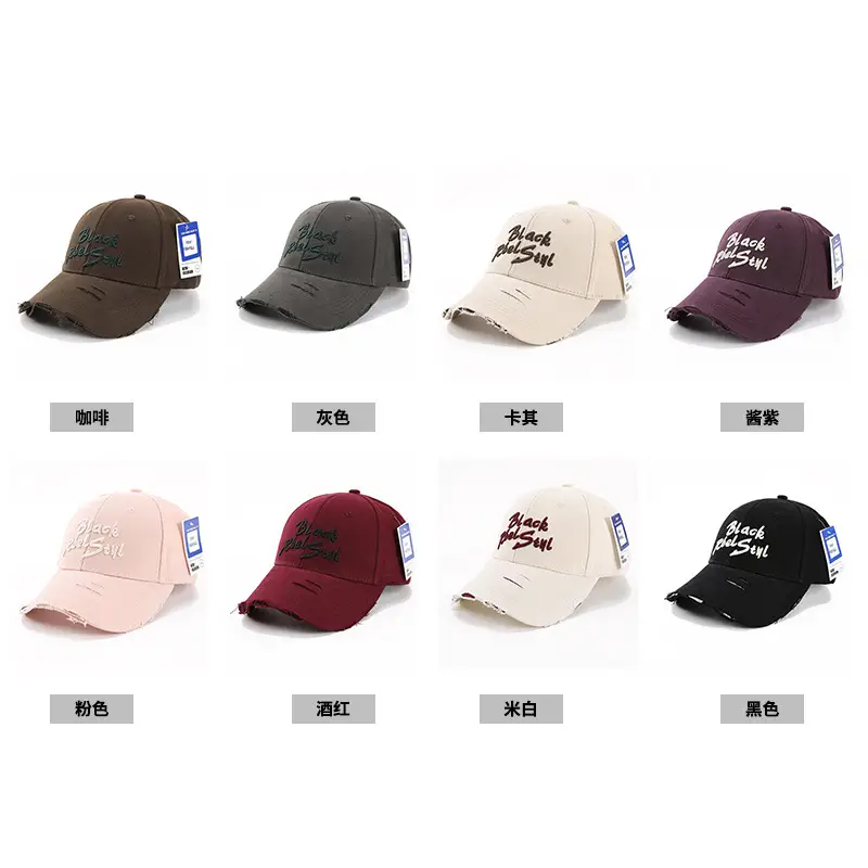 Black Embroidered Women's Cap Spring Autumn Fashion