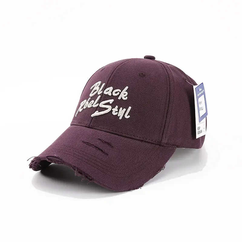 Black Embroidered Women's Cap Spring Autumn Fashion
