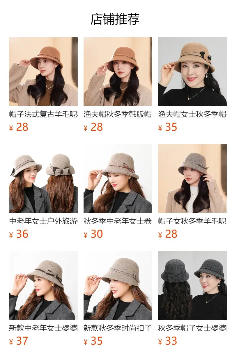 Women Woolen Duckbill Cap for Winter Autumn — feature 2