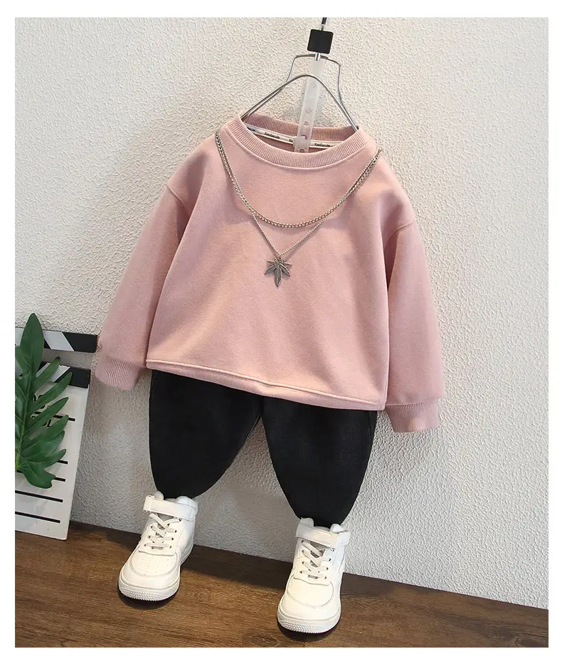 Boys Sweatshirt Pink Long Sleeve Kidsren's Autumn Tops — feature 5