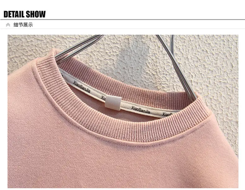 Boys Sweatshirt Pink Long Sleeve Kidsren's Autumn Tops — feature 9