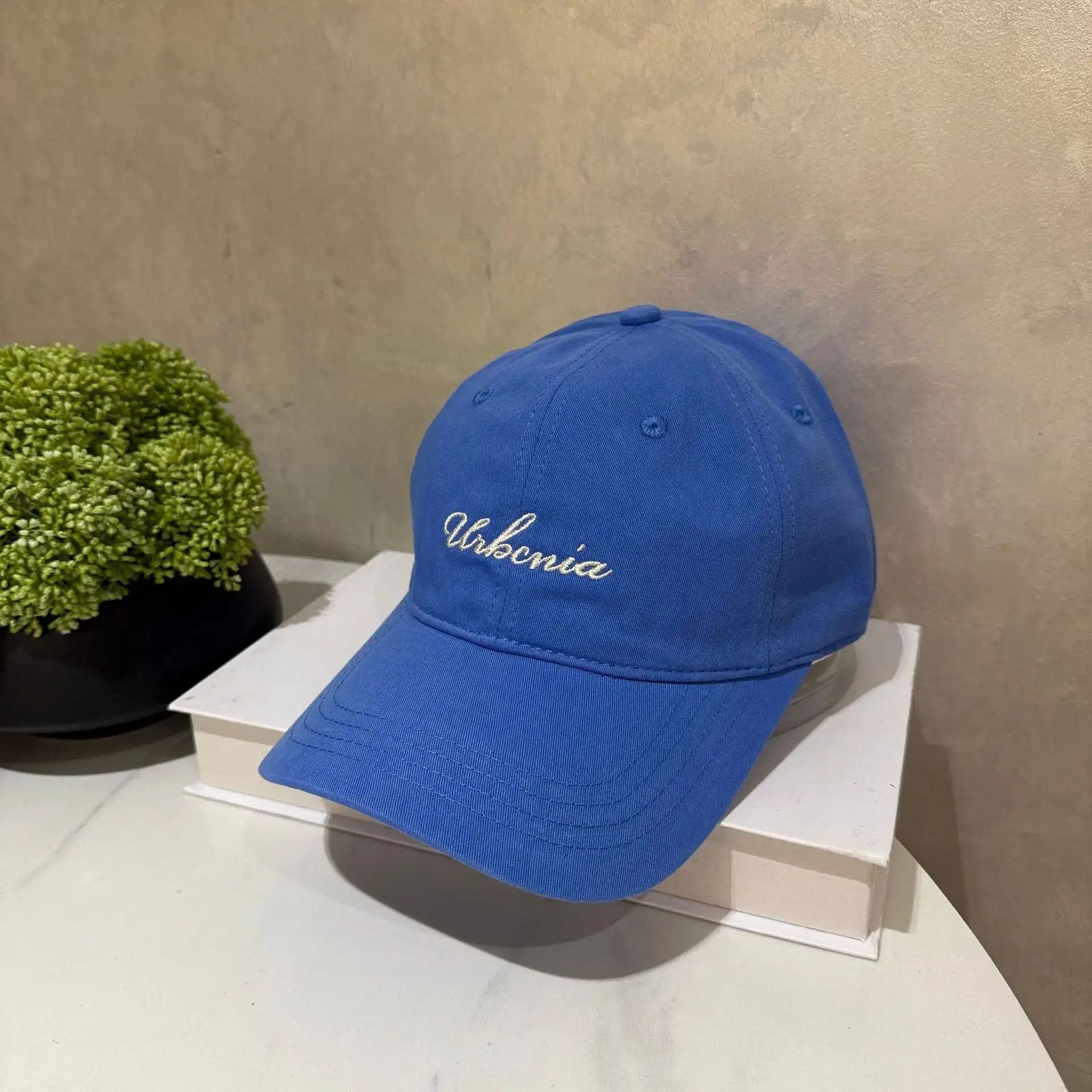 Korean Style Blue Duckbill Cap Women Cotton 2025 - Image 5
