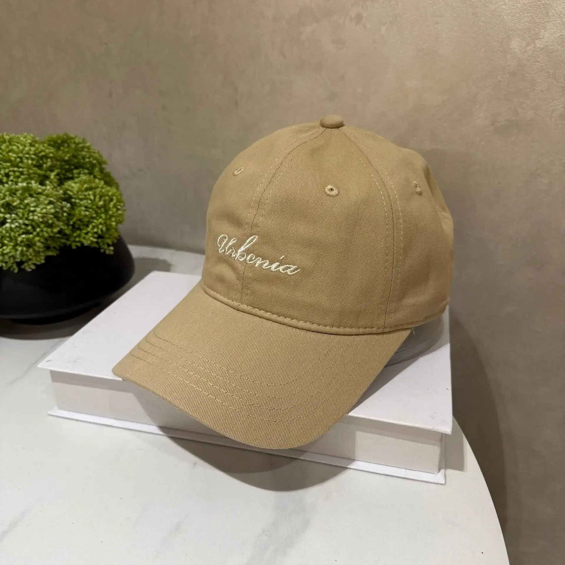 Korean Style Blue Duckbill Cap Women Cotton 2025 - Image 6