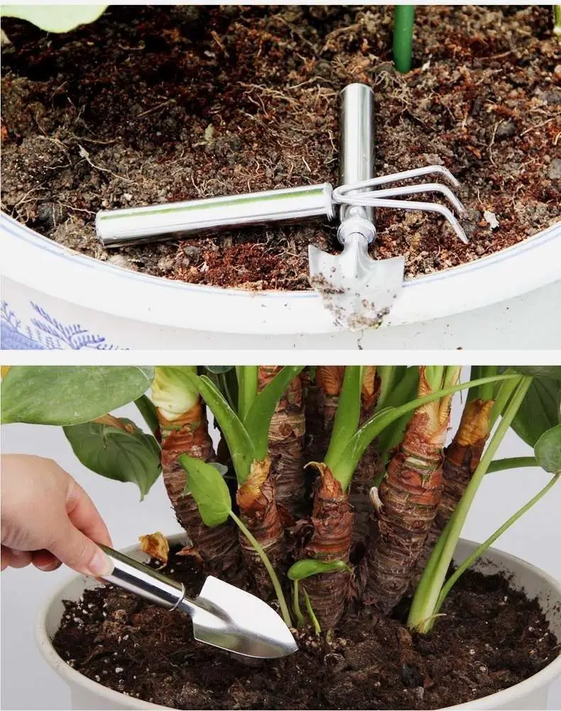 Stainless Steel Gardening Tools Mini Garden Shovel Rake Dual-Purpose Succulent Plant Balcony Small Potted Flower Shovel Rake — feature 6