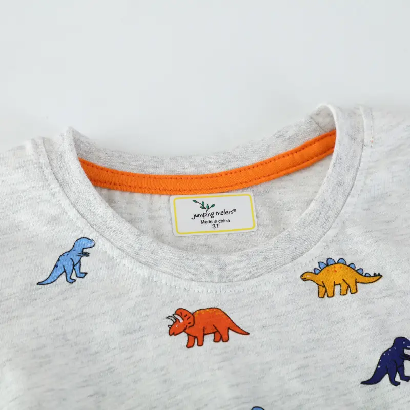2025 Boys Dinosaur Short Sleeve T-Shirt Grey - Image 2