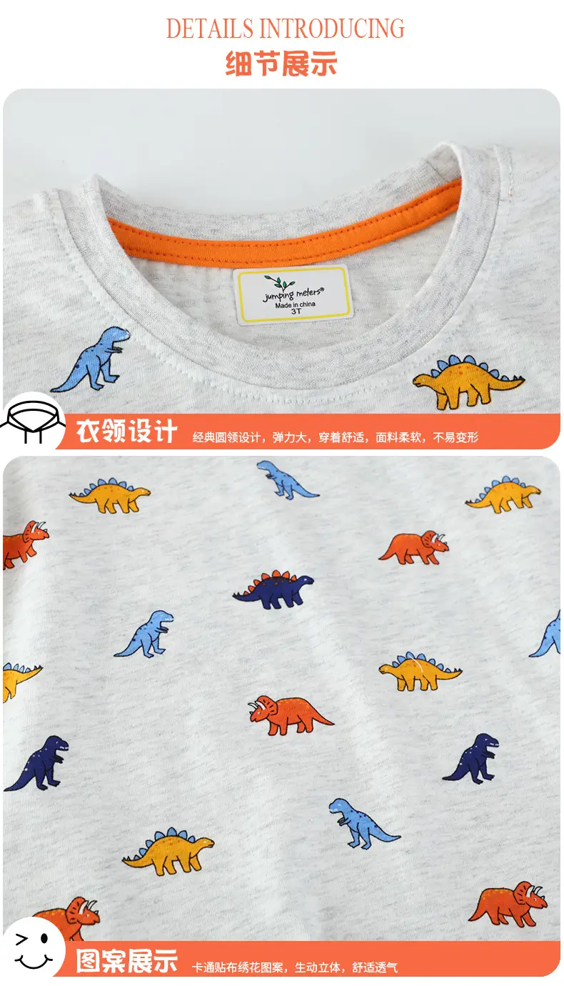 2025 Boys Dinosaur Short Sleeve T-Shirt Grey — feature 5