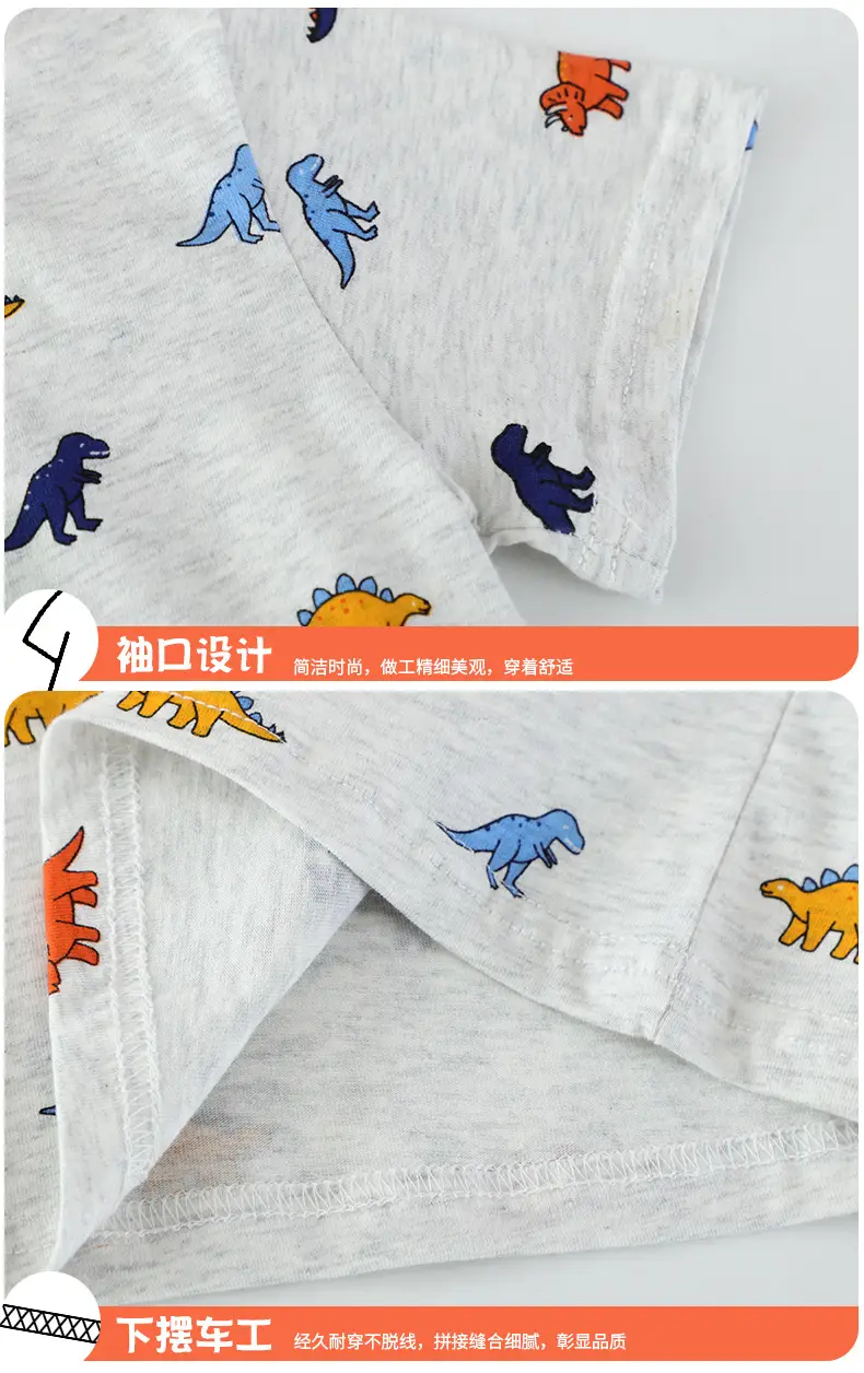 2025 Boys Dinosaur Short Sleeve T-Shirt Grey — feature 6