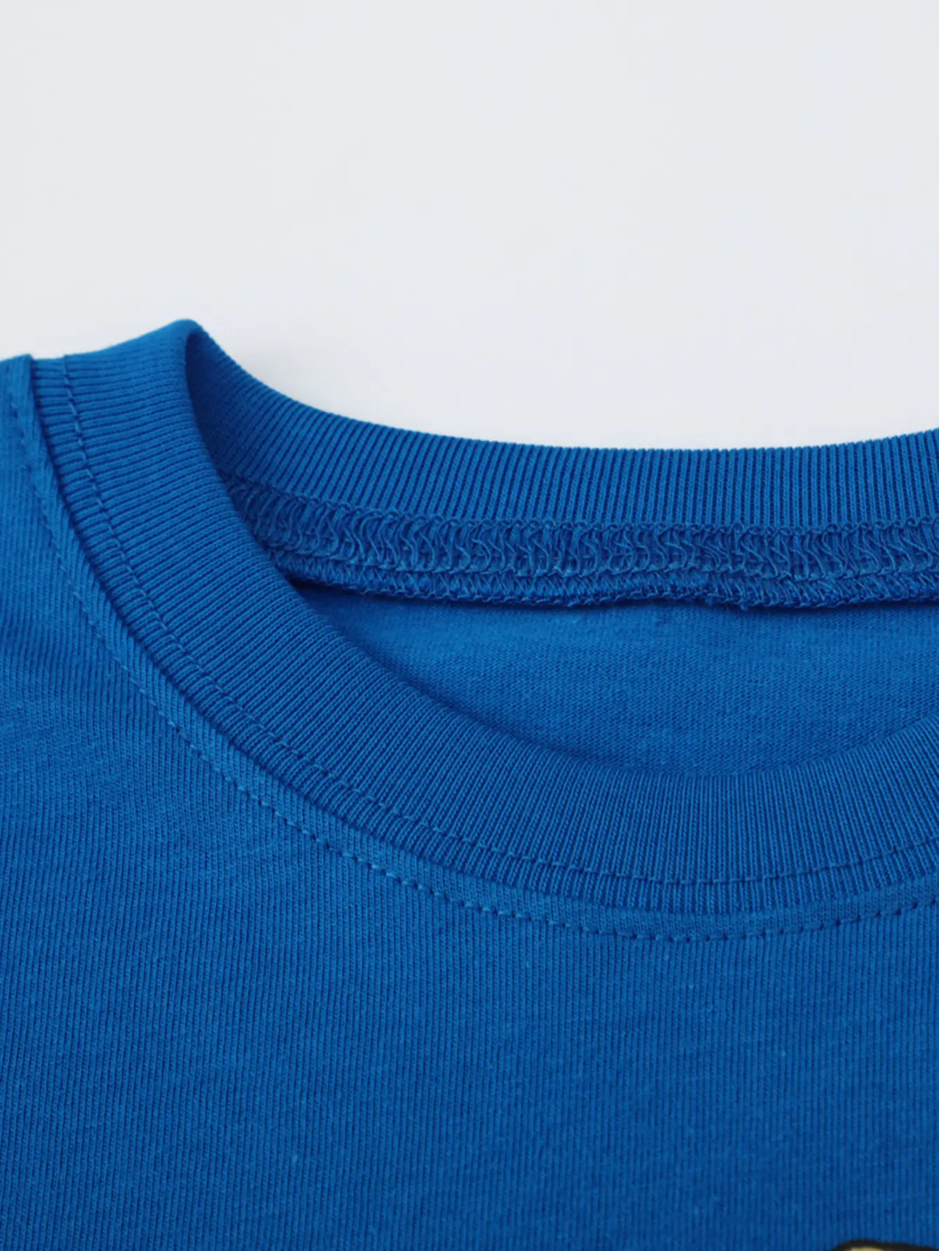 Blue Dinosaur Printed Kids Sweatshirt Long Sleeve Round Neck - Image 4