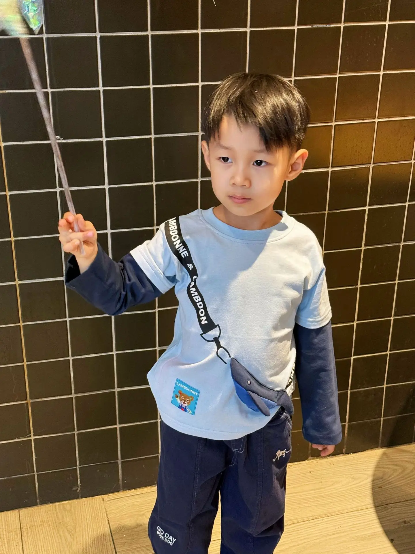 Boys' 2026 Spring T-Shirt Light Blue Long Sleeve Top — feature 12