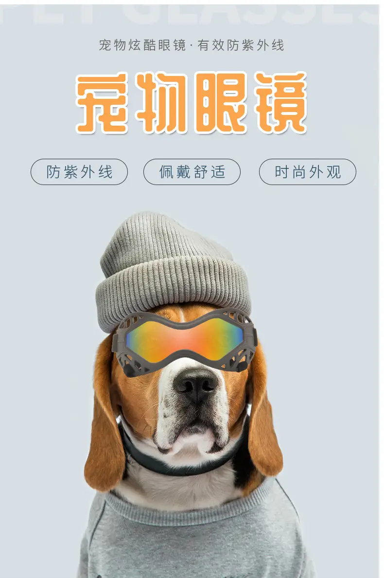 Medium-Sized Anti-UV Dog Sunglasses with Lens — feature 2