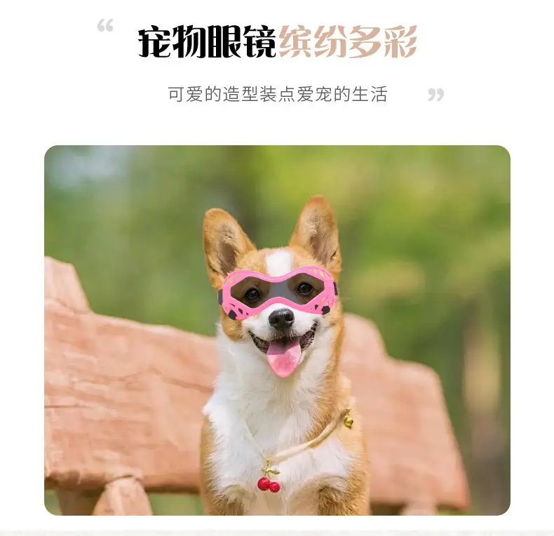 Medium-Sized Anti-UV Dog Sunglasses with Lens — feature 3